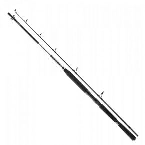 Вудилище човнове Daiwa BG Boat 2.40 м 150-400 г (11928-242)