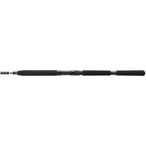 Вудилищеморське Daiwa BG Popper 2.30 м 40-150 г (11928-230)