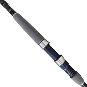 Спінінг Daiwa Exceler 1002MHFS 3.05 м 15-55 г (11018-12)