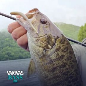 Шнур Varivas Bass PE X4 Flash Green 150m 4.5kg 0.128mm #0.6 (VA 19501)