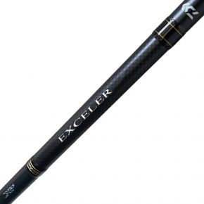 Спінінг Daiwa Exceler 1002MHFS 3.05 м 15-55 г (11018-12)