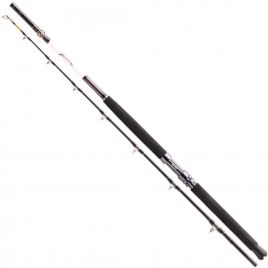 Спінінг морський Daiwa Tanacom 2.1 м 400-1000 г (11806-215)