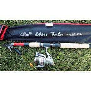 Вудилище коропове Carp Expert Uni Tele 3.90m 80-120g (13397390)