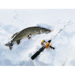 Котушка Salmo Diamond ICE MULTI (M1025)
