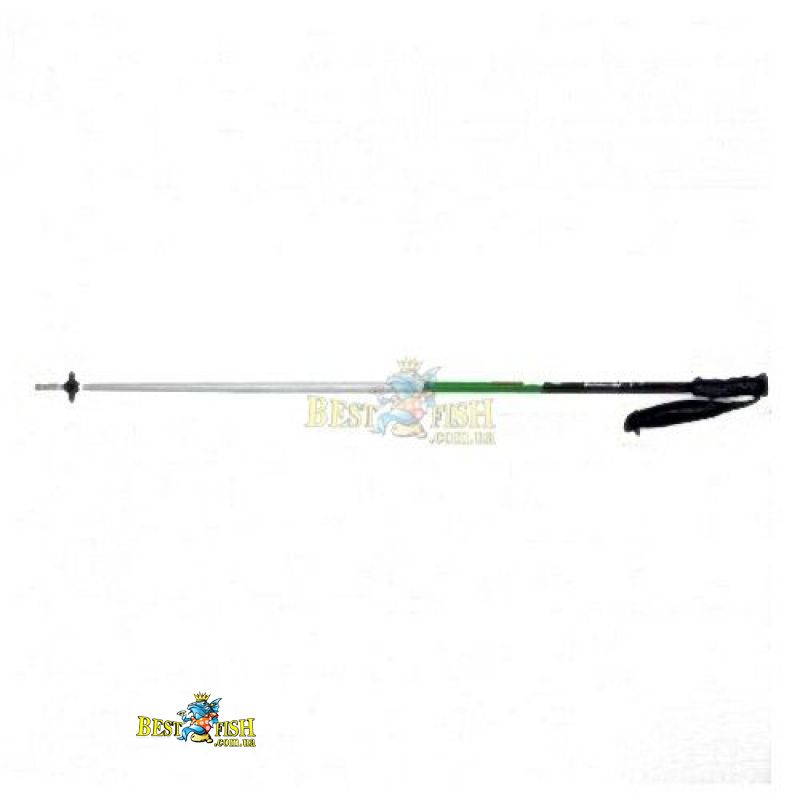 Горнолыжные палки Elan SP Race SLX Горнолыжные палки Elan SP Race SLX