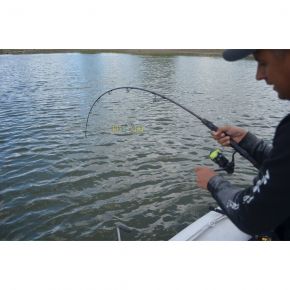 Вудилище сомів Uni Cat Catnapper Vertical 1,70m