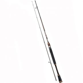 Спінінг Fishing ROI Fantom 2.52m 5-24g