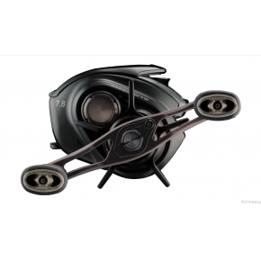 Котушка мультиплікаторна Daiwa 24 Steez SV TW 100XHL (10630315)