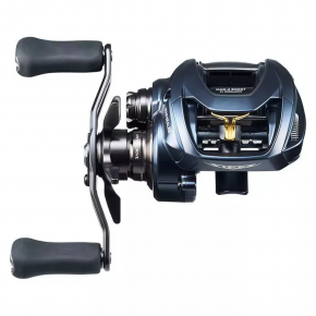 Котушка мультиплікаторна Daiwa Steez A II TW 1000L (10613383)