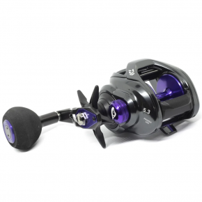 Котушка мультиплікаторна Daiwa Prorex TWS 400P L-P (20007532)