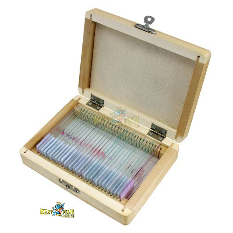 Аксесуари Bresser Набор препаратів №1 (Human) 30 шт Аксесуари Bresser Набор препаратів №1 (Human) 30 шт