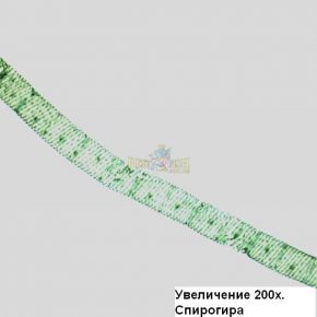 Микроскоп Optika B-352PLi 40x-1600x Bino Infinity