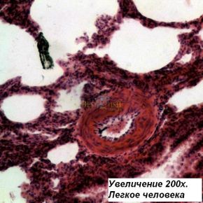 Микроскоп Bresser Science TRM-301 40x-1000x Phase Contrast