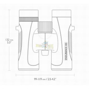 Бінокль Hawke Endurance Top Hinge ED 10x32 (Green)