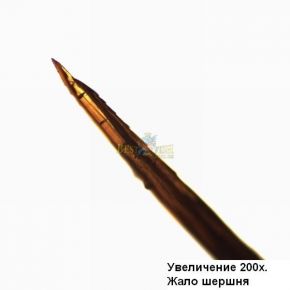 Микроскоп Optika B-159R 40x-1600 Bino rechargeable