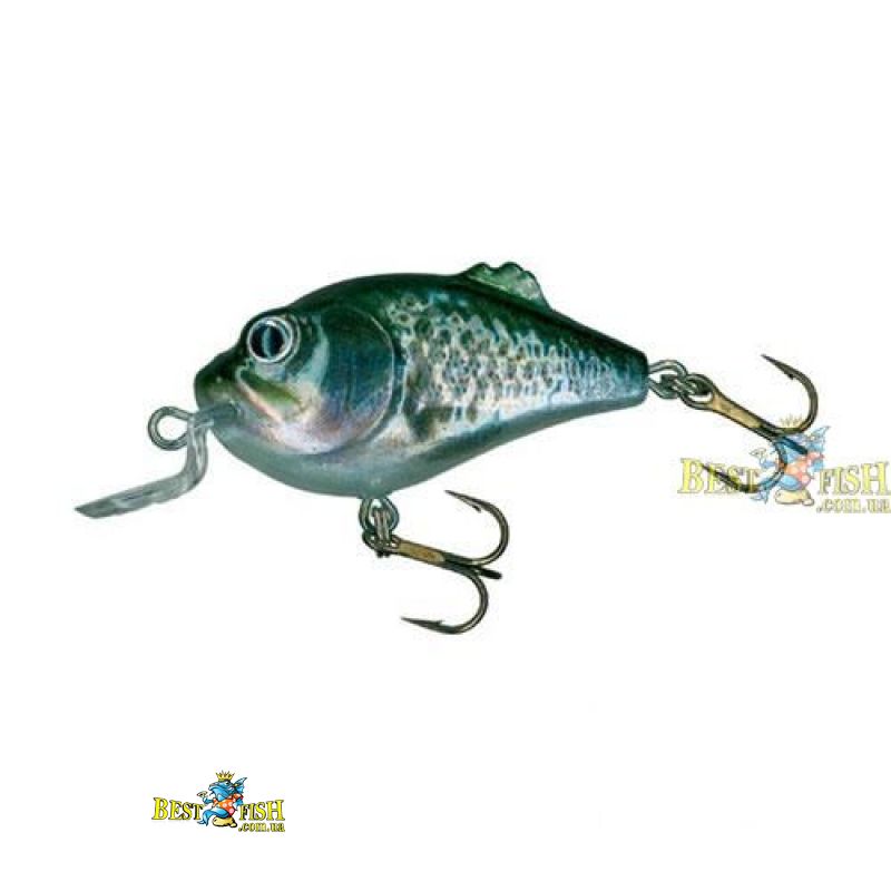 Воблер Salmo BOXER BX4SDR RBS Воблер Salmo BOXER BX4SDR RBS