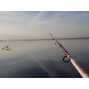 Вудилище фідерне Carp Expert Method Feeder 3,00m 100-150g (12330300)