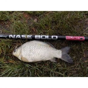 Вудилище болонське Energo Team Nase Bolo 5,00m (11094501) Вудилище болонське Energo Team Nase Bolo 5,00m (11094501)