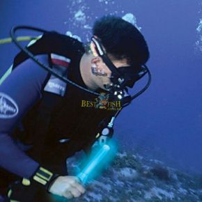 Фонарь Inova Microlight XT LED Wand/Blue