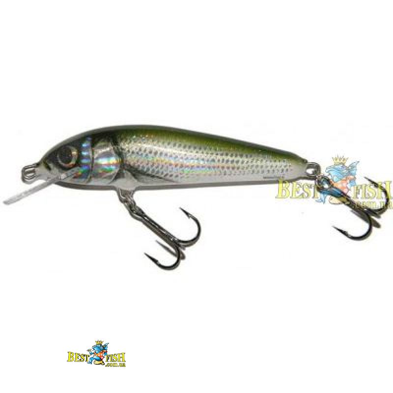 Воблер Salmo MINNOW HBL 5 см Воблер Salmo MINNOW HBL 5 см