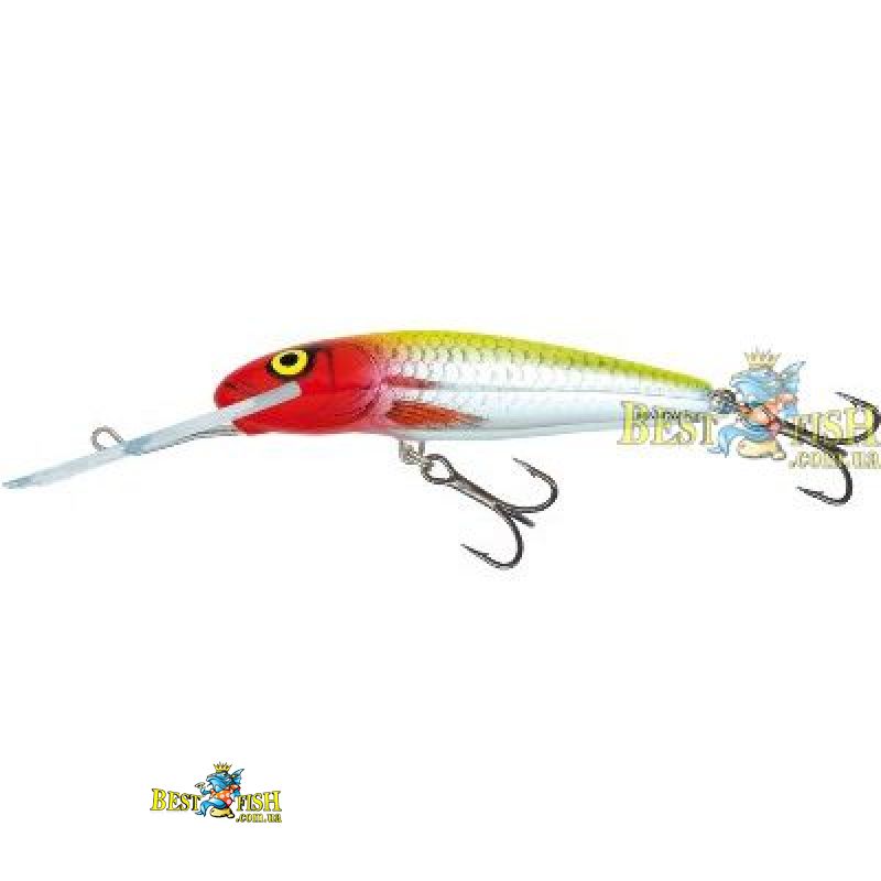 Воблер Salmo MINNOW SMD M5S Воблер Salmo MINNOW SMD M5S