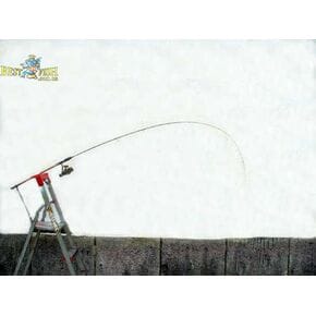 Вудилище пікерно Energo Team Competition Picker 2,70m (13040270)
