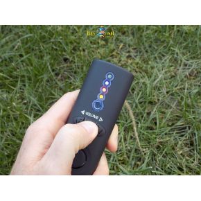 Набір сигналізаторів клювання Energo Team Carp Hunter Radio Digital Szett 3 + 1 Набір сигналізаторів клювання Energo Team Carp Hunter Radio Digital Szett 3 + 1