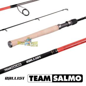 Вудилище спінінга Team Salmo BALLIST 5.9 / ML Вудилище спінінга Team Salmo BALLIST 5.9 / ML