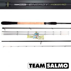 Вудилище пікерно Team Salmo Energy Picker 40 (TSEN40-300) Вудилище пікерно Team Salmo Energy Picker 40 (TSEN40-300)