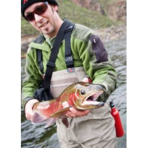 Фляга Klean Kanteen Classic Sport Cap Channel Island 800 ml