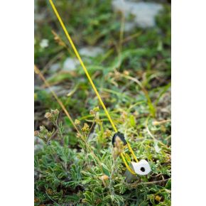 Комплект ультралегких оттяжек для палтки Terra Nova Thin Guyropes & Cam Cleats