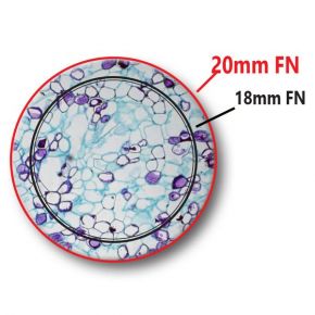 Микроскоп Optika B-292PL 40x-1000x Bino