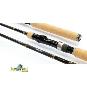 Удилище Team Daiwa-AR TD802MHFS-AR