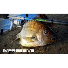 Спінінг Zemex Impressive Rock Fish S 732 (0.3-5G)