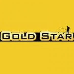 Gold Star