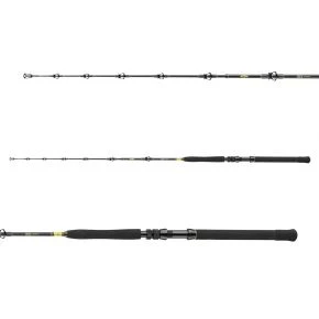 Спінінг Daiwa BG Big Game 1.68 м 300-800 г (11929-166)