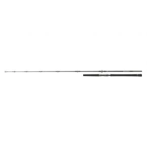 Вудилище човнове Daiwa Saltiga Stick`n Pop 2.50 м 80-125 г (B0001934001)
