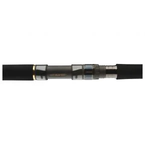 Вудилище човнове Daiwa Saltiga Stick`n Pop 2.50 м 80-125 г (B0001934001)