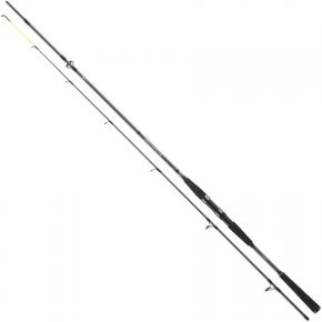Спінінг Daiwa Seahunter X 2.70m 30-60g (11533-270)