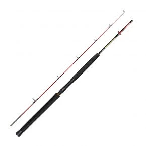 Спінінг Daiwa Seahunter Spin 1.83m 120-300g (SHRS602HFS-AS)