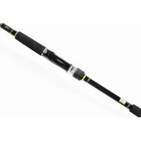 Спінінг Daiwa Seabass Hunter X 100MH-R 3.05m 12-60g (5800079)