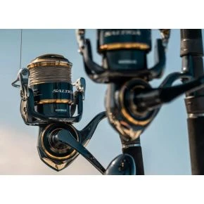 Котушка морська Daiwa 20 Saltiga (G) 8000-H (40050130)