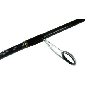 Спінінг Daiwa Seabass Hunter X 100MH-R 3.05m 12-60g (5800079)