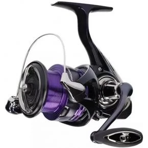 Котушка безінерційна Daiwa 24 Prorex X LT 4000-C (20004773)