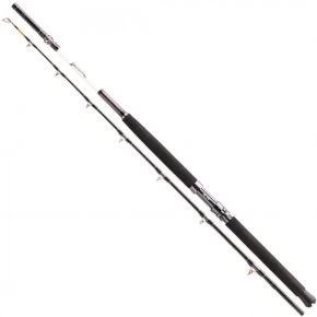 Спінінг морський Daiwa Tanacom 2.1 м 400-1000 г (11806-215)