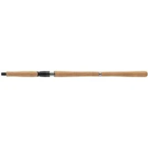 Спінінг Daiwa Pro Staff Big Bait Spin 2.50m 40-100g (11320-244)