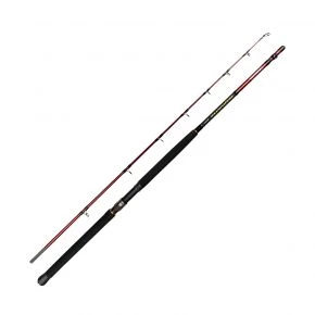 Спінінг Daiwa Seahunter Boat 2.13m 20-30LB (SHRB7030-AS)