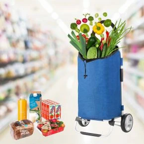 Сумка-візок Shopping Cruiser Foldable Blue (650061)