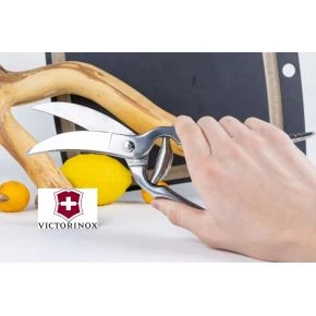 Кухонні ножиці для птиці Victorinox 26 см, сталеві (7.6345)