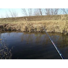 Вудилище махове Energo Team Black Spider Pole 5,00m (11010500)